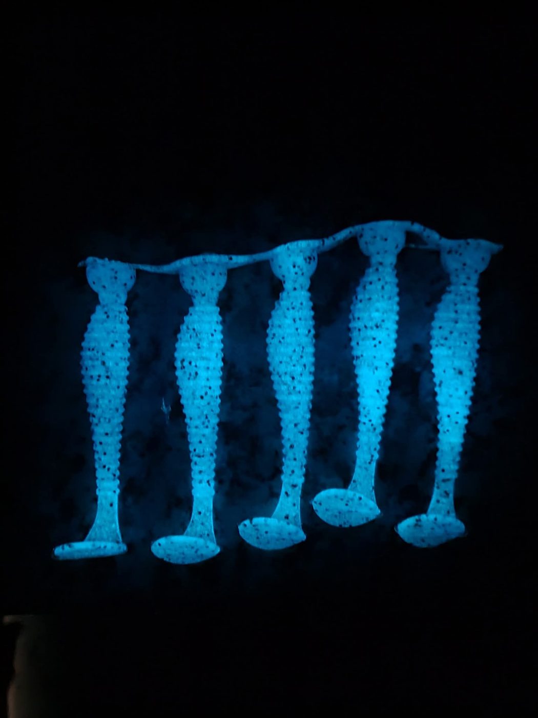 Alpha&Omega Fishing photo 5