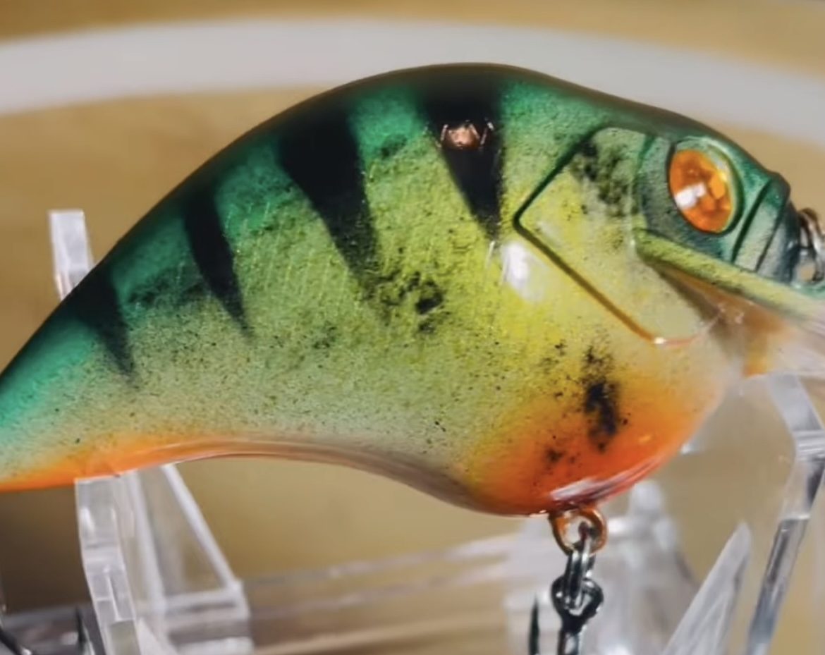 Bling n Eye Baits photo 4