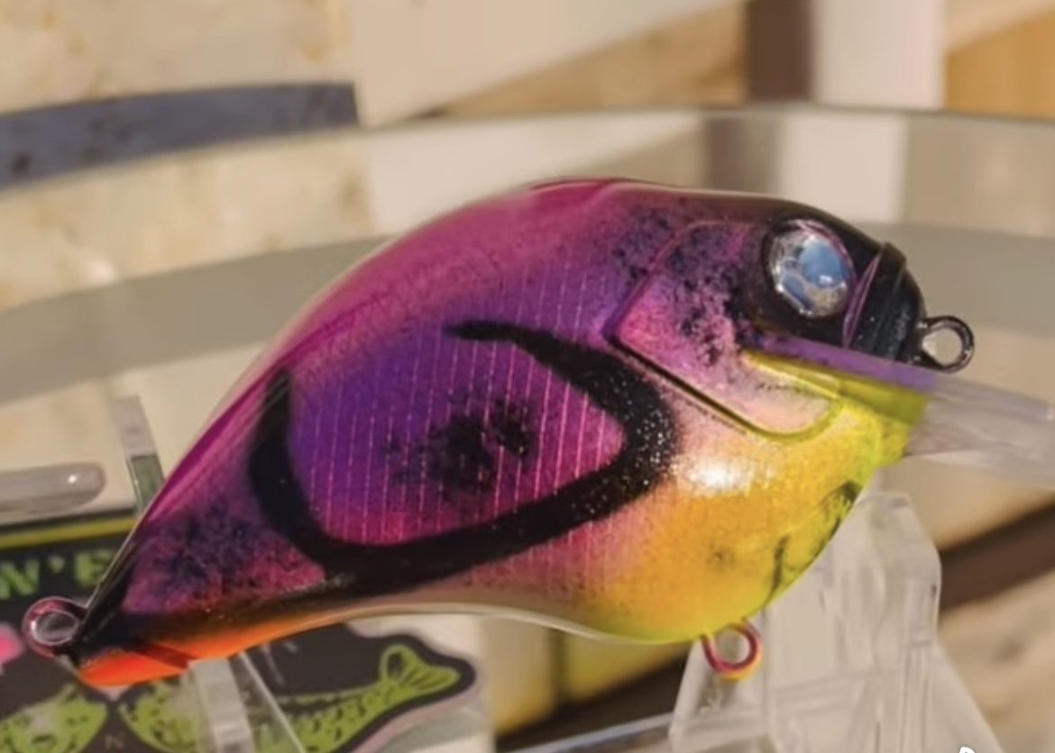 Bling n Eye Baits photo 2