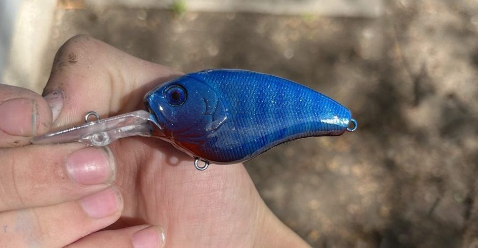 Felony Fishing Custom Baits photo 5