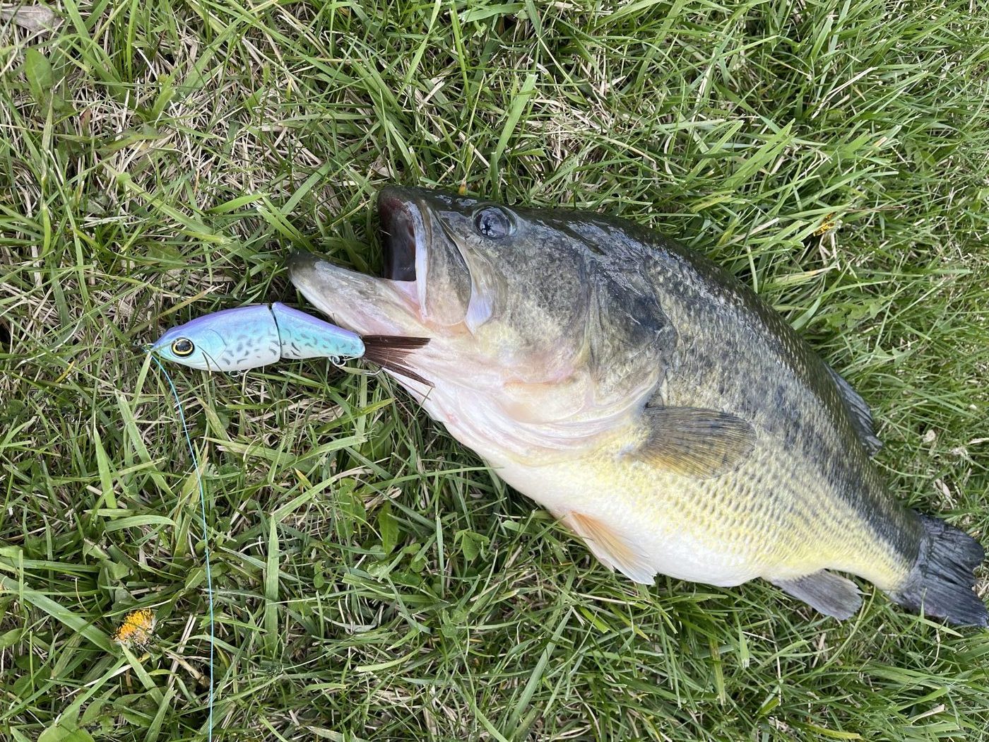 Fishers of Men Lure Co. photo 3