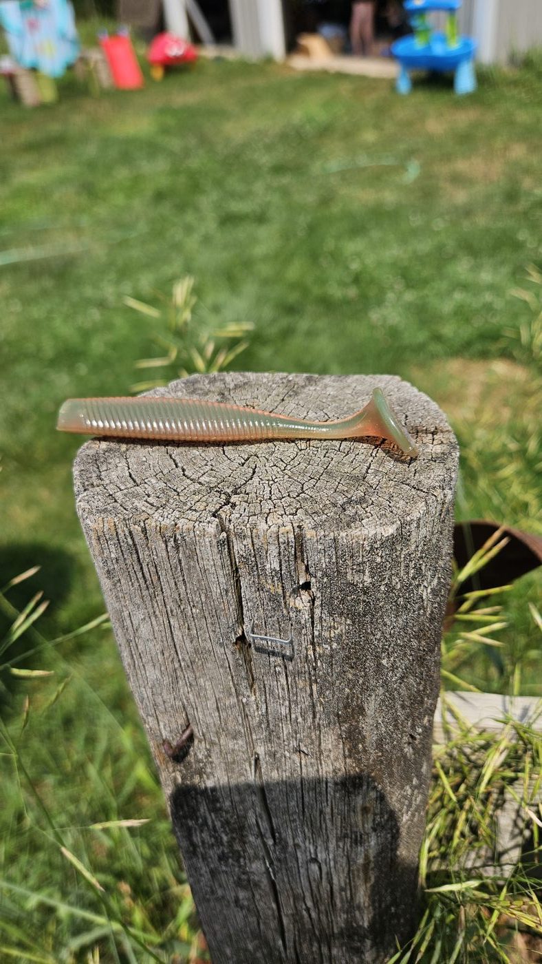 Frag Out Fishing photo 5