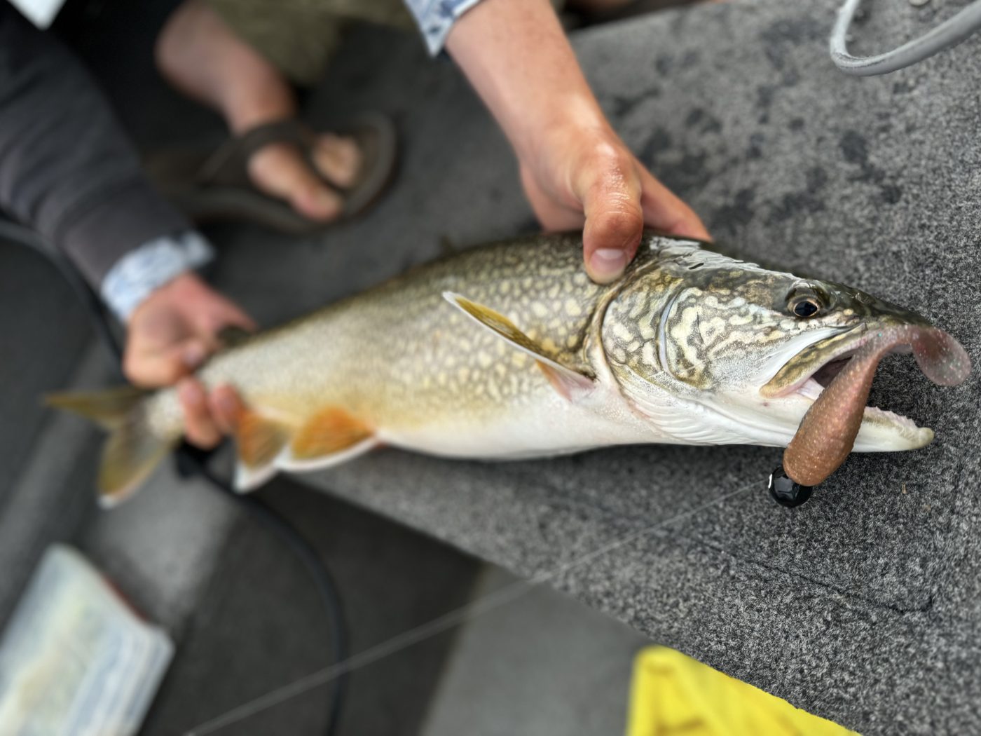 Henn Lures photo 6