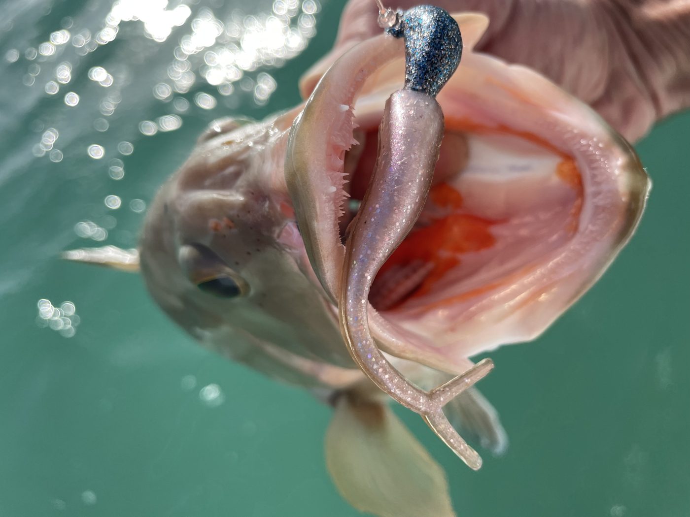 Henn Lures photo 4