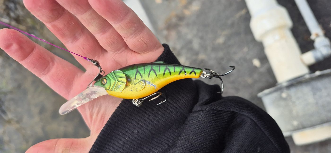 Little Gus Baits photo 1