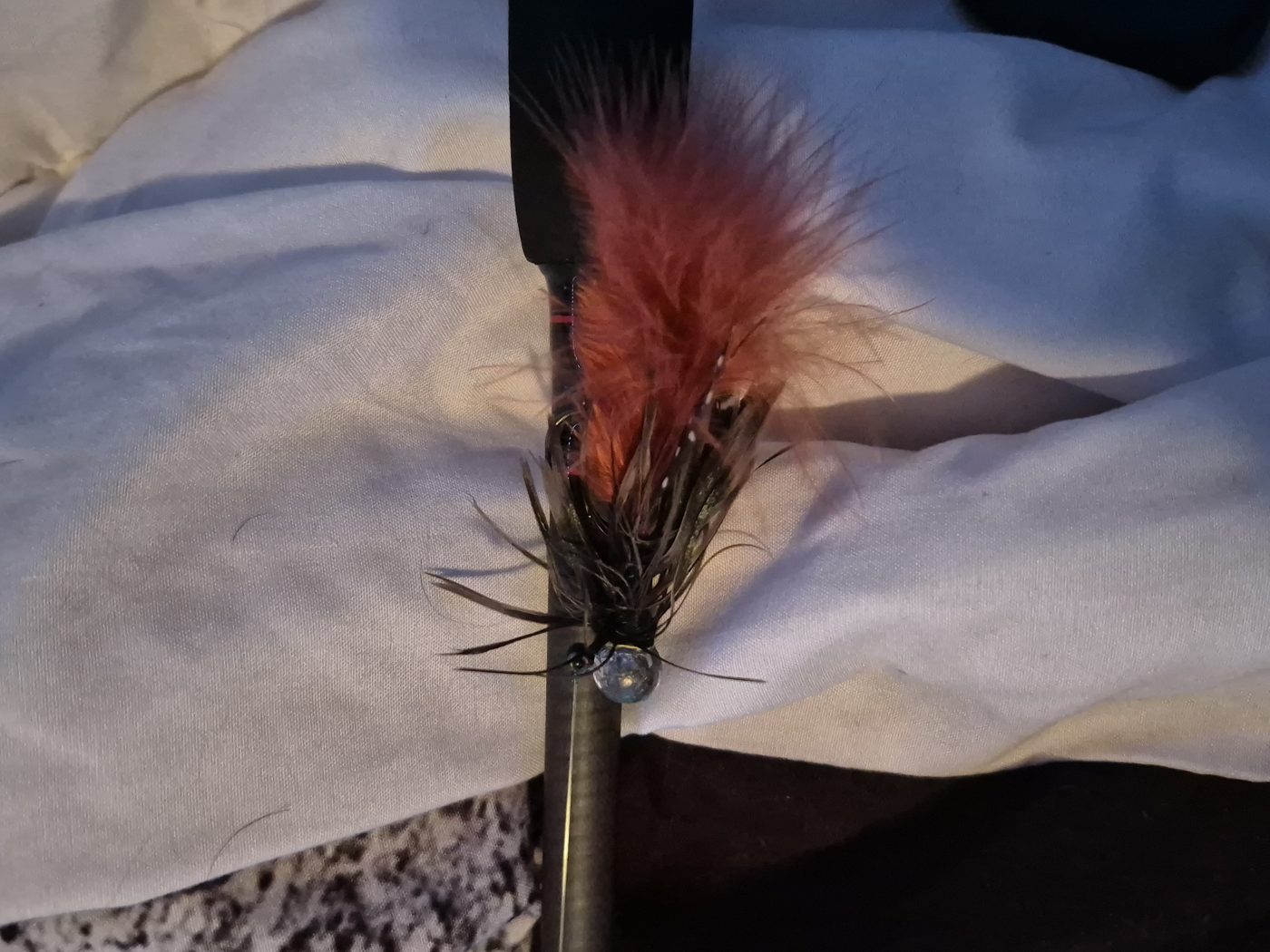 Little Gus Baits photo 4