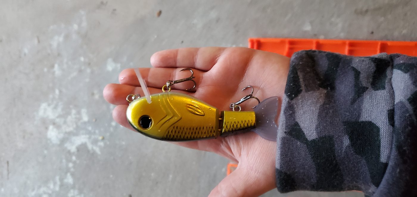Little Gus Baits photo 6