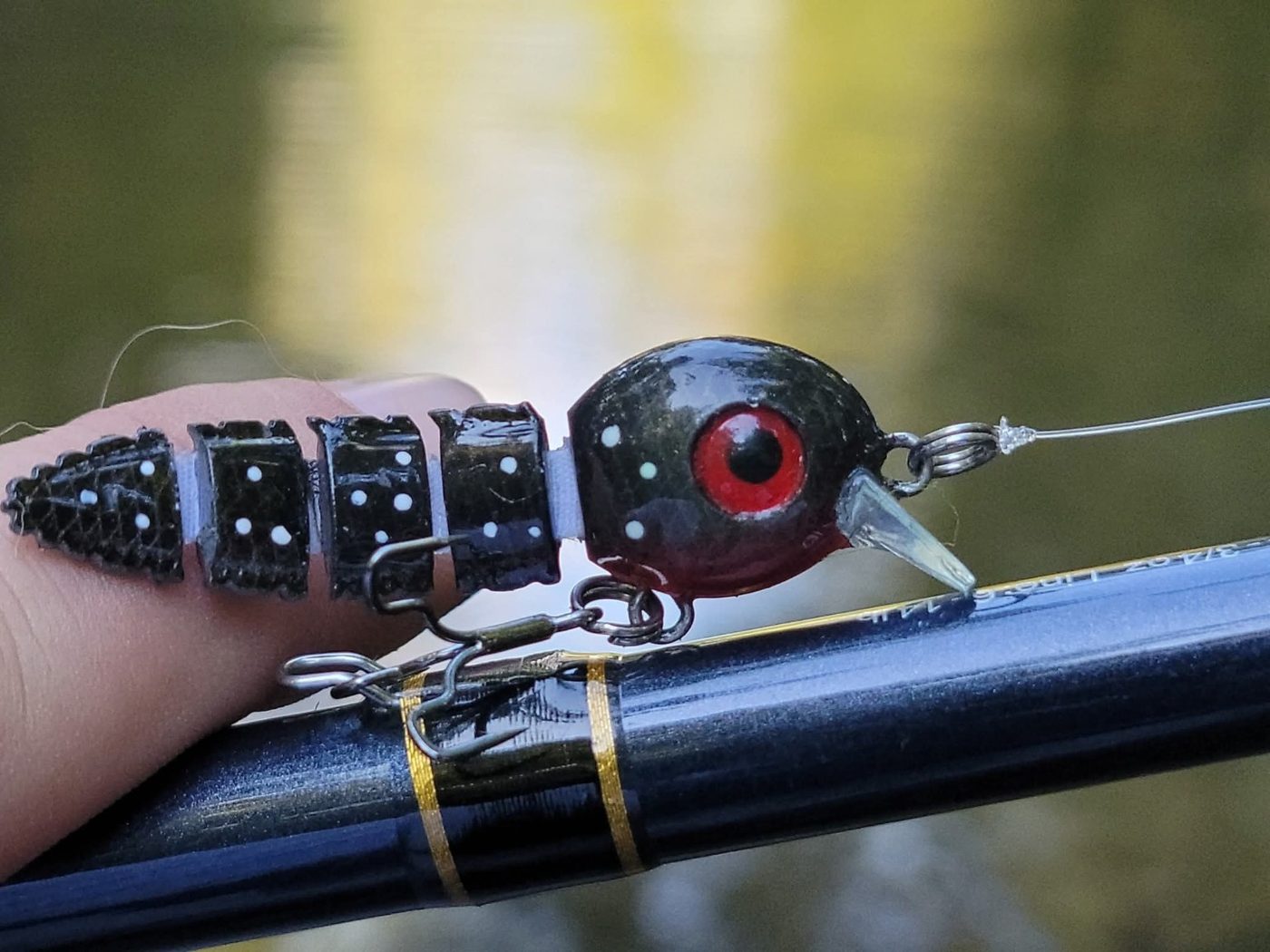 Pond Predator Lures photo 3