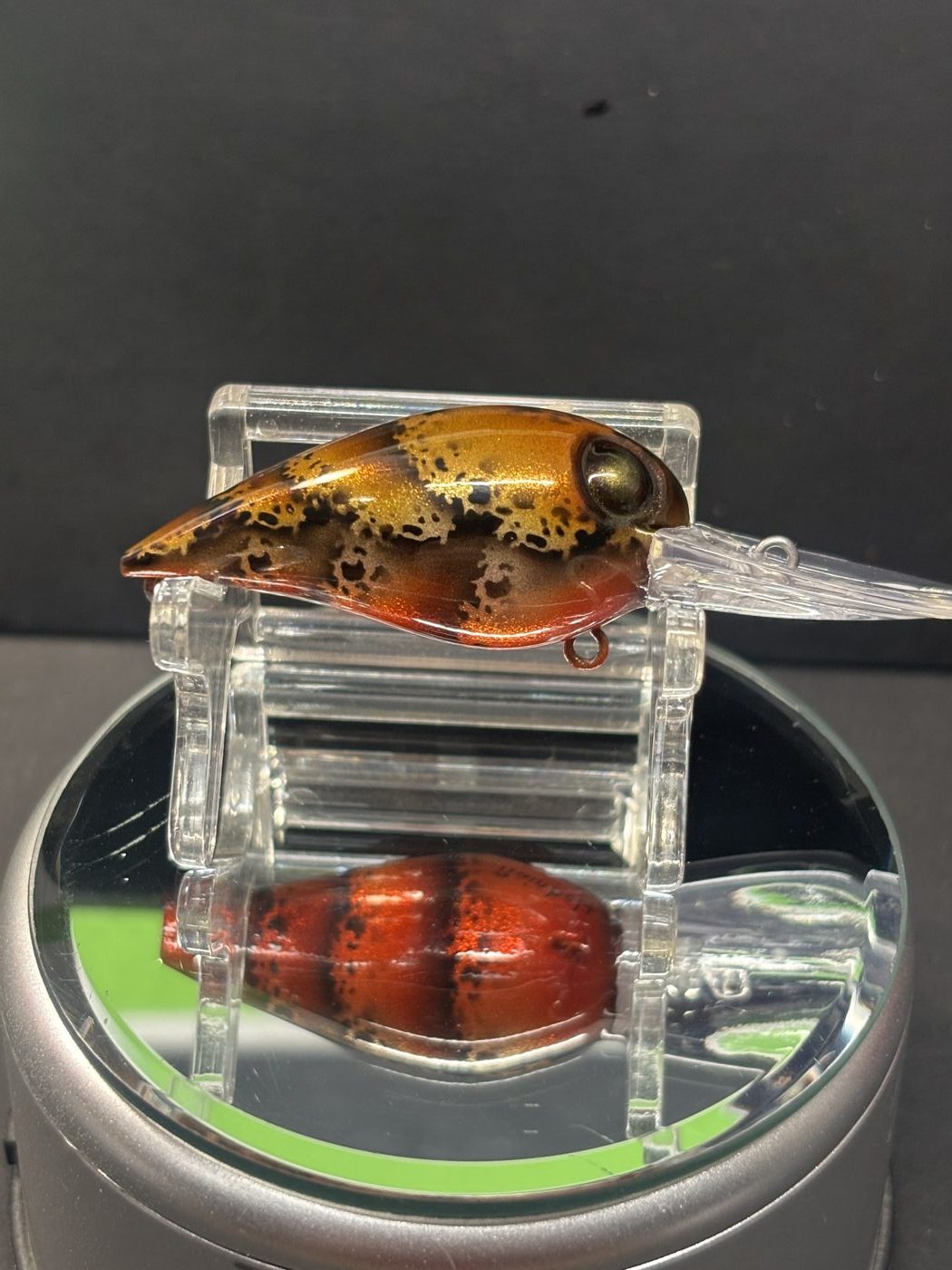 Rainbolt Custom lures photo 2