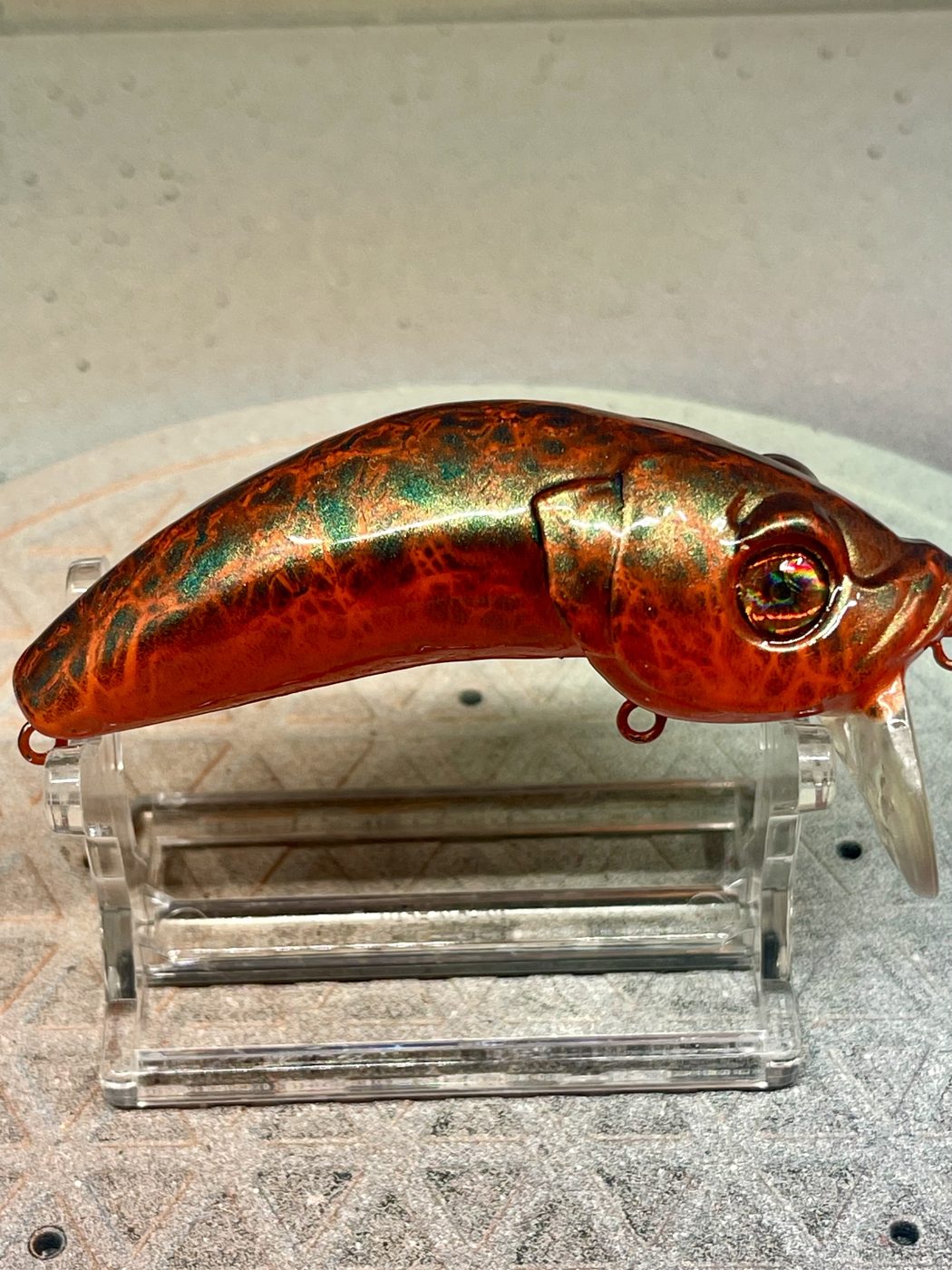 Spidermunky Customs photo 6