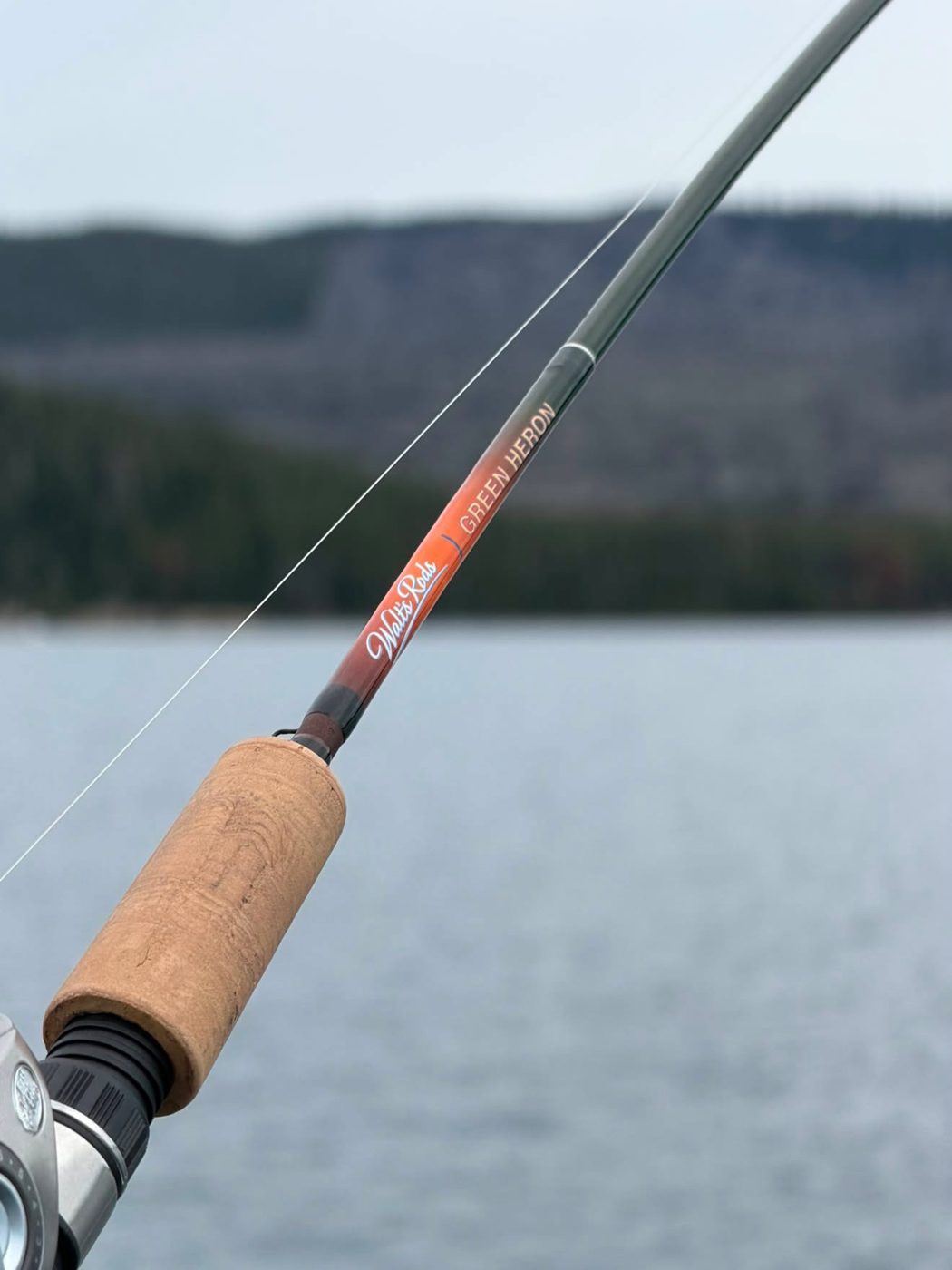 Walt’s Rods LLC photo 6